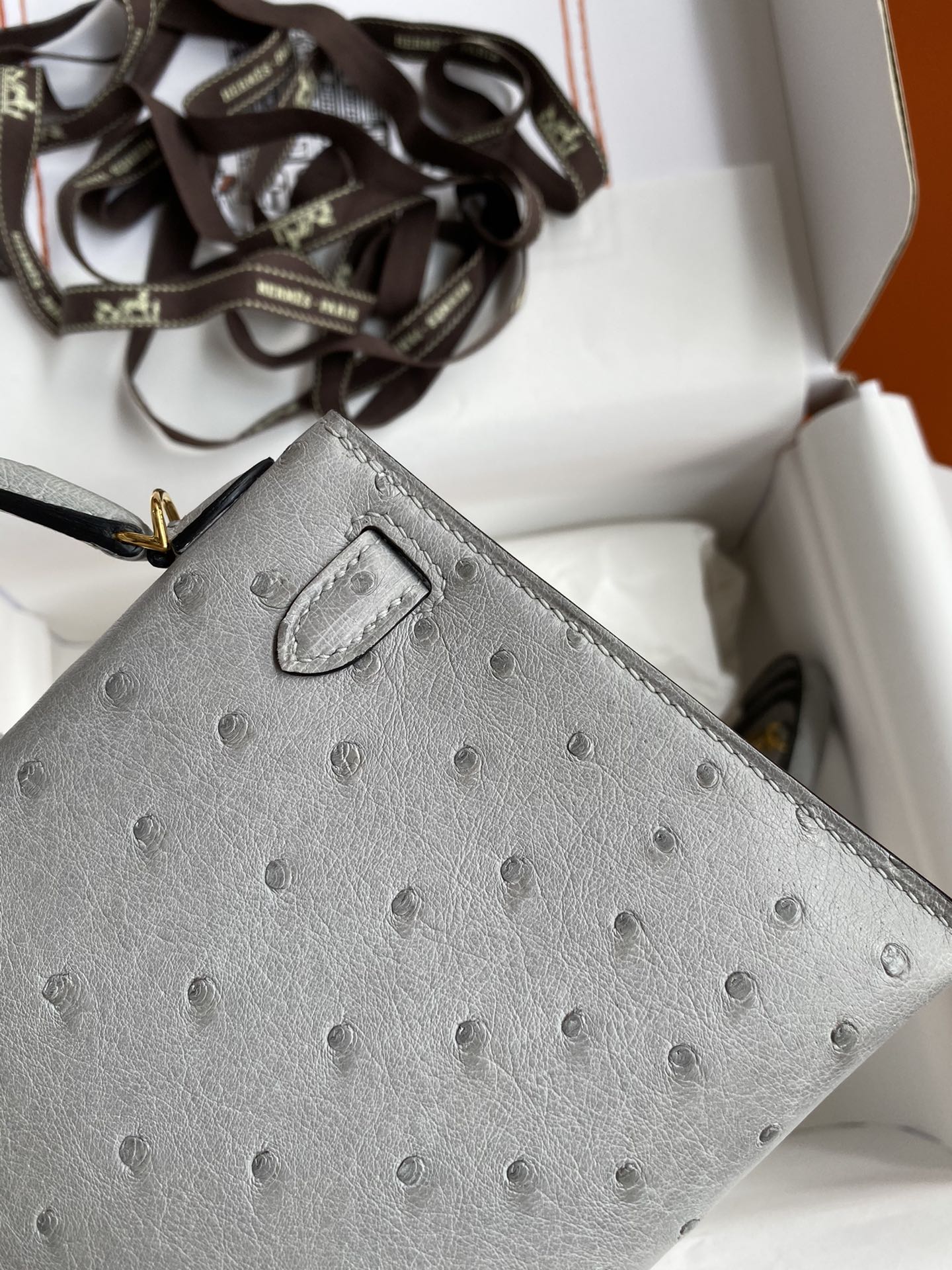 Hermes Kelly Mini II Bag 19CM In Grey Ostrich Leather